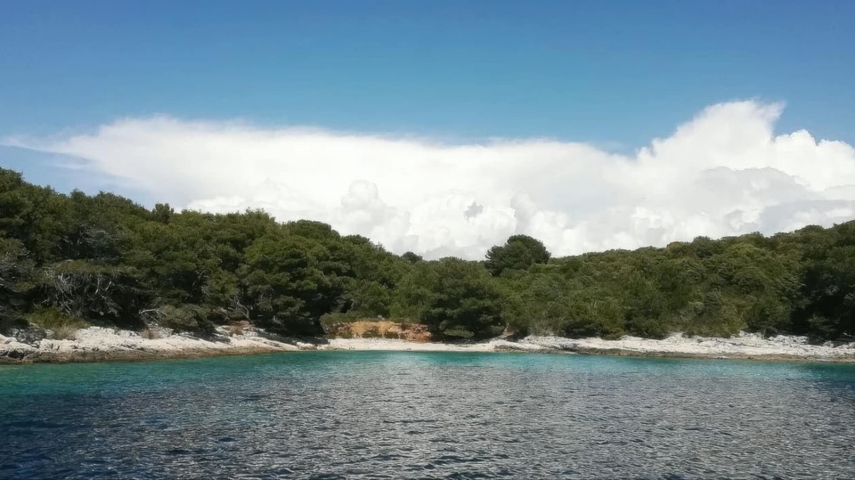 For sale&comma; exclusive estate with old house&comma; 49 ha &ndash; Pakleni Islands&excl;