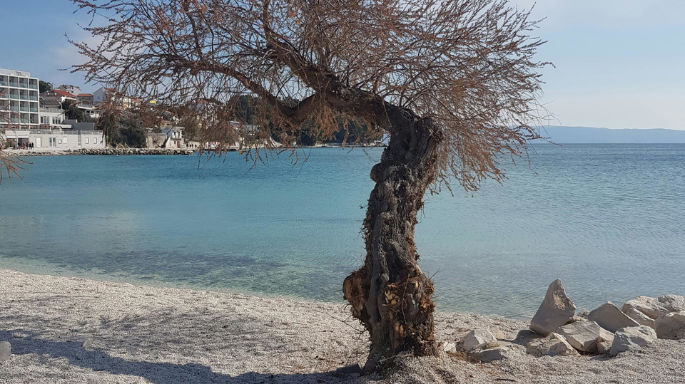 Ekskluzivno enosobno stanovanje v Splitu &ndash; le 350 m od pla&zcaron;e&excl;