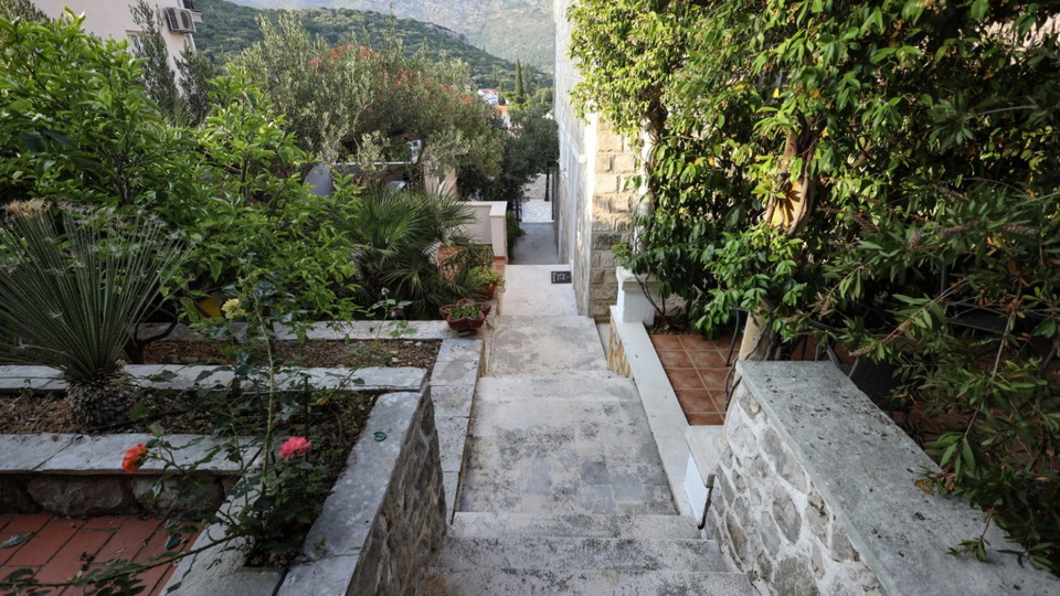 &Ocy;&chcy;&acy;&rcy;&ocy;&vcy;&acy;&tcy;&iecy;&lcy;&softcy;&ncy;&acy;&yacy; &kcy;&acy;&mcy;&iecy;&ncy;&ncy;&acy;&yacy; &vcy;&icy;&lcy;&lcy;&acy; &scy; &bcy;&acy;&scy;&scy;&iecy;&jcy;&ncy;&ocy;&mcy; &vcy; &ocy;&kcy;&rcy;&iecy;&scy;&tcy;&ncy;&ocy;&scy;&tcy;&yacy;&khcy; &Dcy;&ucy;&bcy;&rcy;&ocy;&vcy;&ncy;&icy;&kcy;&acy;&excl;