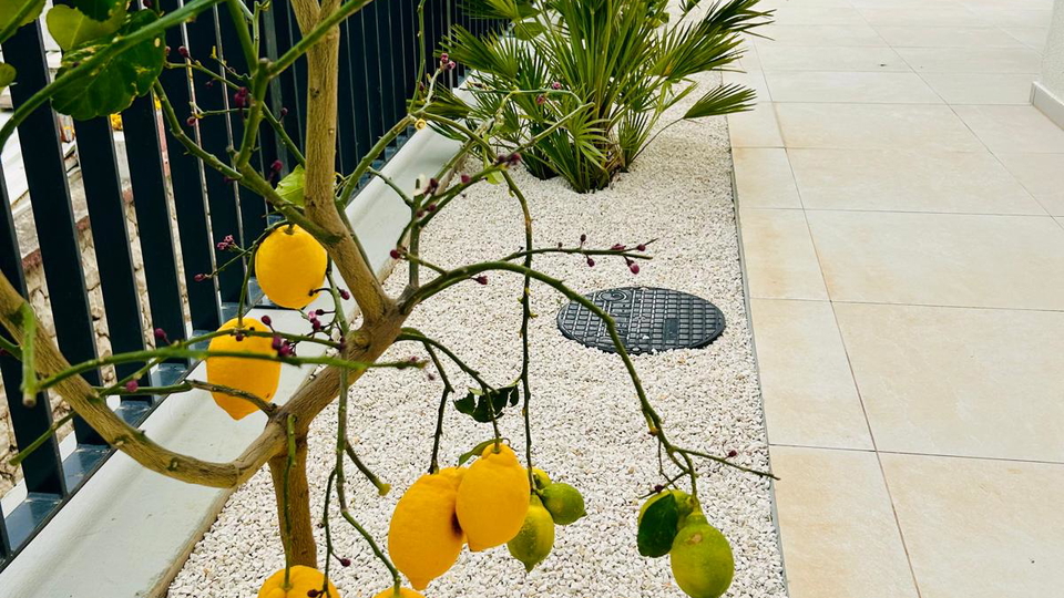 Luxury apartment with garden and pool first line to the beach &ndash; Seget Donji&excl;