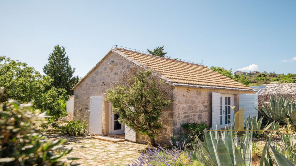 Occasione rara: ampio terreno di 30.000 m² in una posizione prestigiosa sull'isola di Hvar!