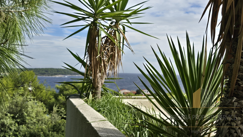 Beautiful house with a swimming pool and open sea view - Vis, Brgujac!