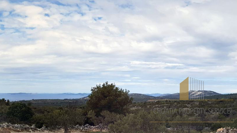 Building land of 1,645 m² with sea view and olive grove - Primošten!