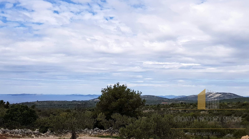 Building land of 1,645 m² with sea view and olive grove - Primošten!