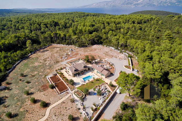 Autentica villa mediterranea con piscina e uliveto – isola di Hvar, 800 m dal mare!