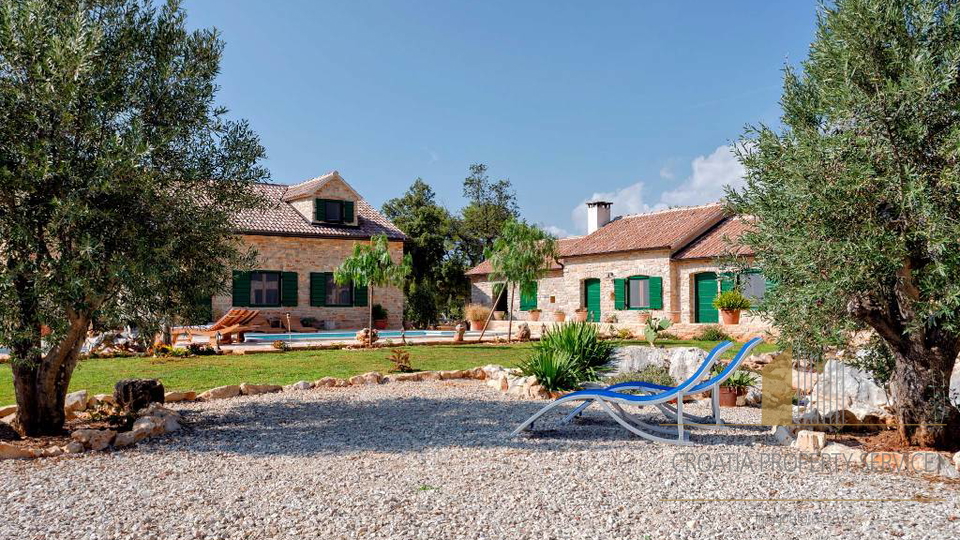 Autentica villa mediterranea con piscina e uliveto – isola di Hvar, 800 m dal mare!