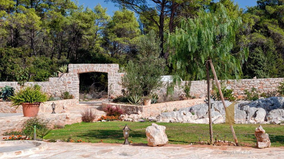 Autentica villa mediterranea con piscina e uliveto – isola di Hvar, 800 m dal mare!