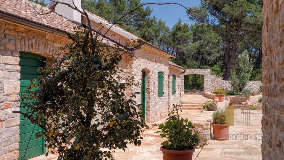 Autentica villa mediterranea con piscina e uliveto – isola di Hvar, 800 m dal mare!