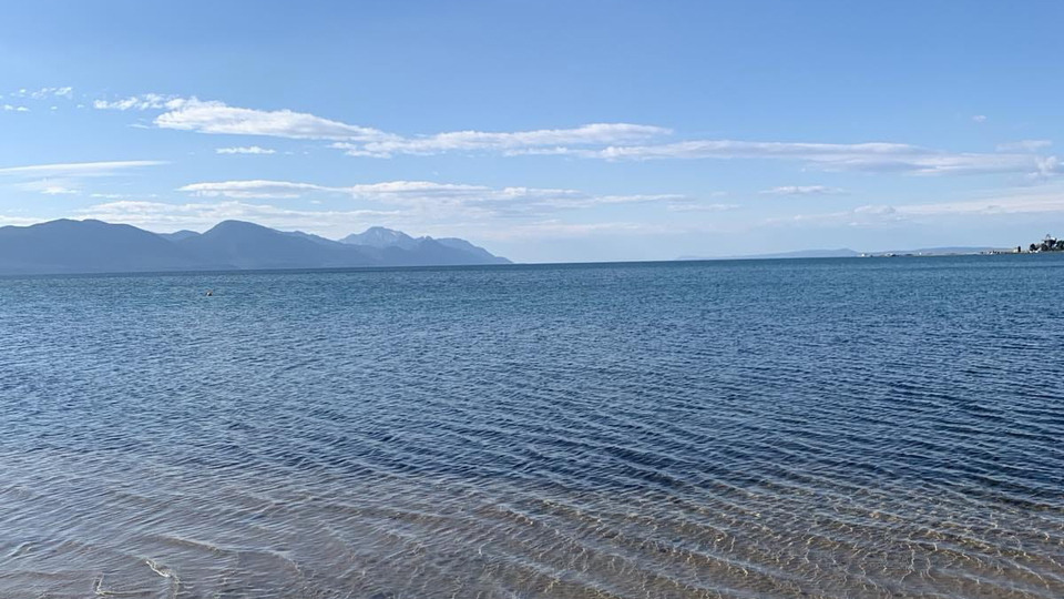 21-hectare land near the Neretva estuary &ndash; investment potential for tourism and wellness development&excl;