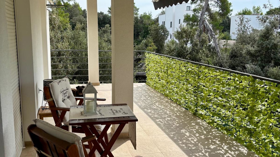 &Pcy;&rcy;&ocy;&scy;&tcy;&ocy;&rcy;&ncy;&acy;&yacy; &kcy;&vcy;&acy;&rcy;&tcy;&icy;&rcy;&acy; &scy; &tcy;&iecy;&rcy;&rcy;&acy;&scy;&ocy;&jcy; &icy; &scy;&acy;&dcy;&ocy;&mcy; &vcy; 180 &mcy; &ocy;&tcy; &pcy;&lcy;&yacy;&zhcy;&acy; &vcy; &ocy;&kcy;&rcy;&iecy;&scy;&tcy;&ncy;&ocy;&scy;&tcy;&yacy;&khcy; &Zcy;&acy;&dcy;&acy;&rcy;&acy;&excl;