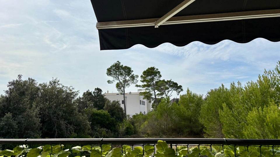 &Pcy;&rcy;&ocy;&scy;&tcy;&ocy;&rcy;&ncy;&acy;&yacy; &kcy;&vcy;&acy;&rcy;&tcy;&icy;&rcy;&acy; &scy; &tcy;&iecy;&rcy;&rcy;&acy;&scy;&ocy;&jcy; &icy; &scy;&acy;&dcy;&ocy;&mcy; &vcy; 180 &mcy; &ocy;&tcy; &pcy;&lcy;&yacy;&zhcy;&acy; &vcy; &ocy;&kcy;&rcy;&iecy;&scy;&tcy;&ncy;&ocy;&scy;&tcy;&yacy;&khcy; &Zcy;&acy;&dcy;&acy;&rcy;&acy;&excl;