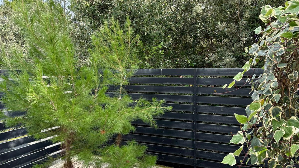 &Pcy;&rcy;&ocy;&scy;&tcy;&ocy;&rcy;&ncy;&acy;&yacy; &kcy;&vcy;&acy;&rcy;&tcy;&icy;&rcy;&acy; &scy; &tcy;&iecy;&rcy;&rcy;&acy;&scy;&ocy;&jcy; &icy; &scy;&acy;&dcy;&ocy;&mcy; &vcy; 180 &mcy; &ocy;&tcy; &pcy;&lcy;&yacy;&zhcy;&acy; &vcy; &ocy;&kcy;&rcy;&iecy;&scy;&tcy;&ncy;&ocy;&scy;&tcy;&yacy;&khcy; &Zcy;&acy;&dcy;&acy;&rcy;&acy;&excl;