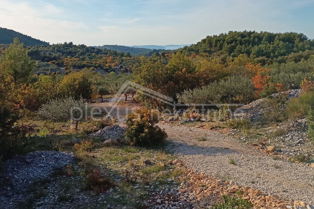 Građevinsko zemljište za OPG: Brač, Nerežišća 17430 m2