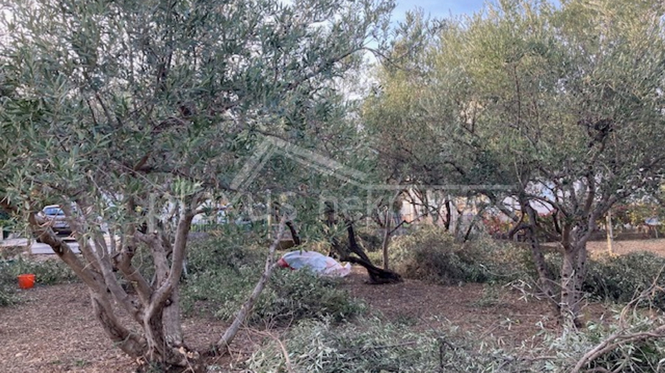 Land, 600 m2, For Sale, Kaštel Novi