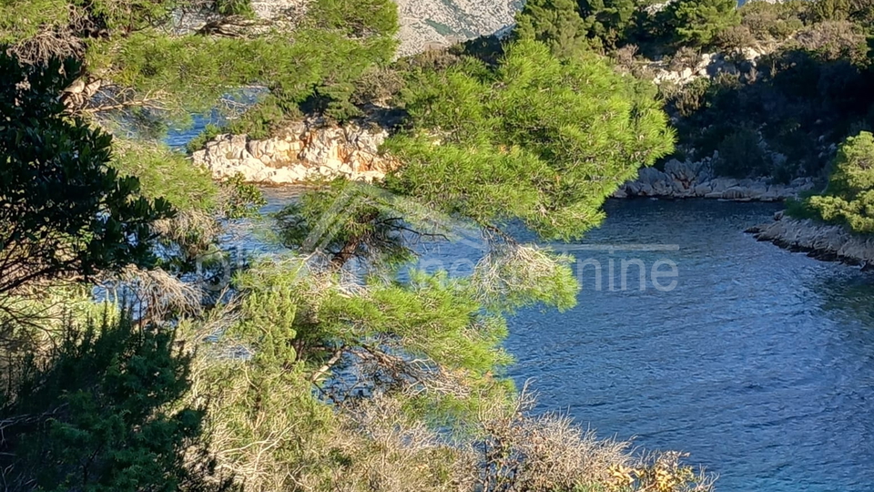 Zemljište prvi red do mora, Hvar, Stari Grad, 12000 m2