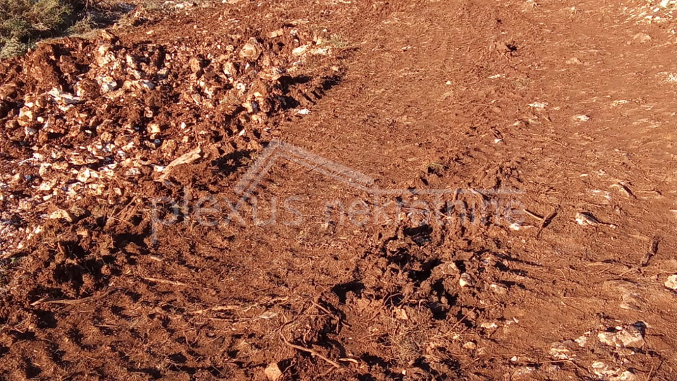 Terreno, 16000 m2, Vendita, Marina - Svinca