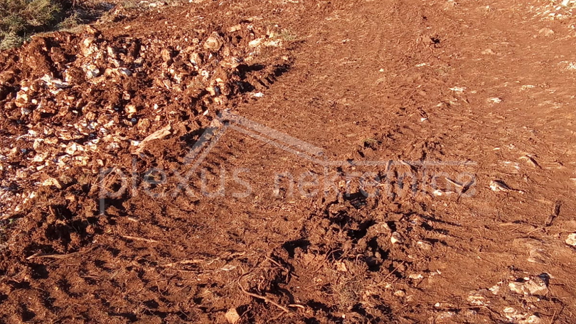 Land&comma; 16000 m2&comma; For Sale&comma; Marina - Svinca