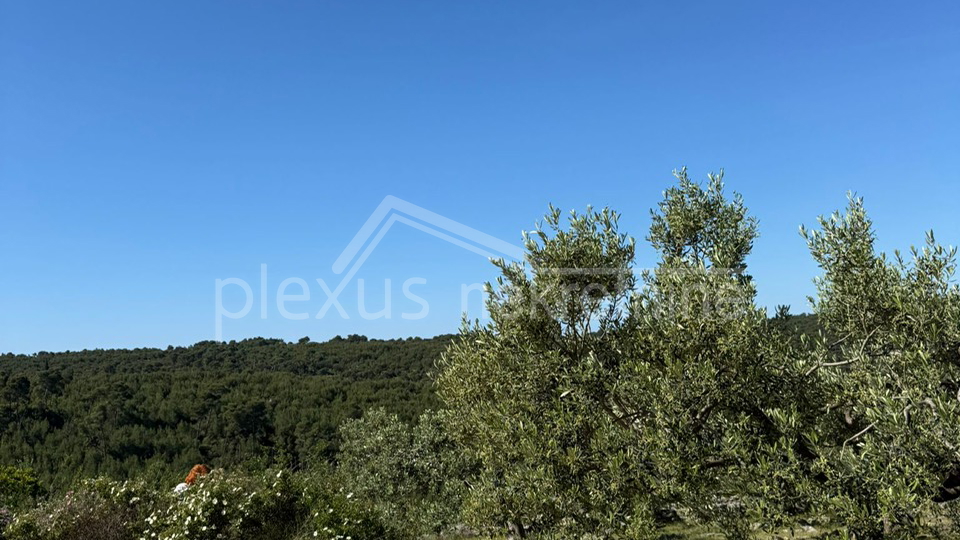 Land&comma; 3117 m2&comma; For Sale&comma; &Scaron;olta - Ne&ccaron;ujam
