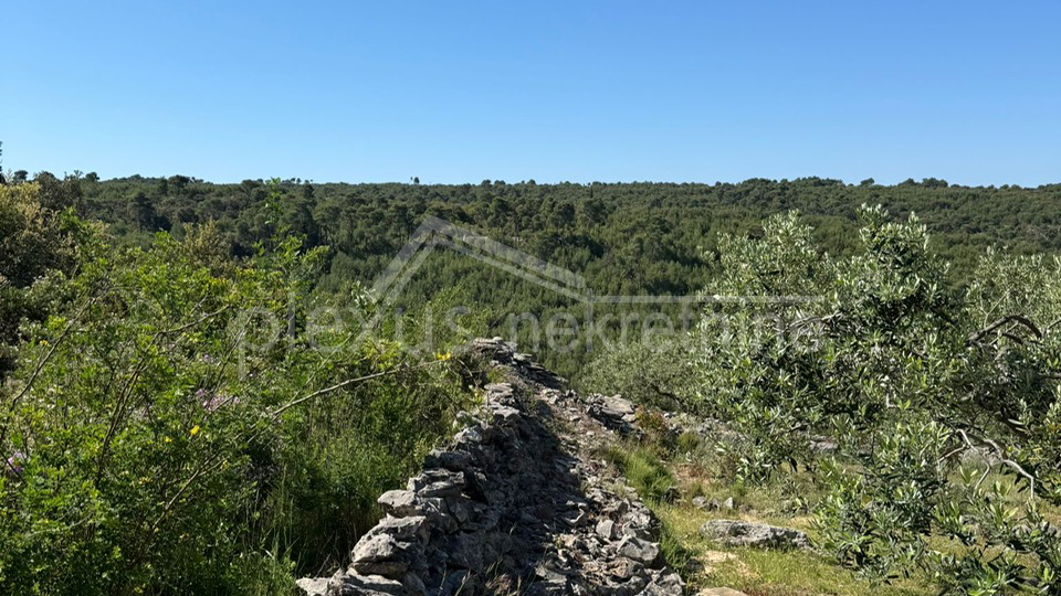 Land&comma; 3117 m2&comma; For Sale&comma; &Scaron;olta - Ne&ccaron;ujam
