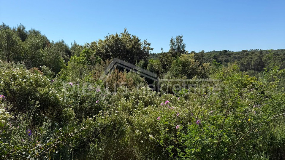 Land&comma; 3117 m2&comma; For Sale&comma; &Scaron;olta - Ne&ccaron;ujam
