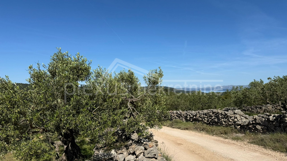 Land&comma; 3117 m2&comma; For Sale&comma; &Scaron;olta - Ne&ccaron;ujam
