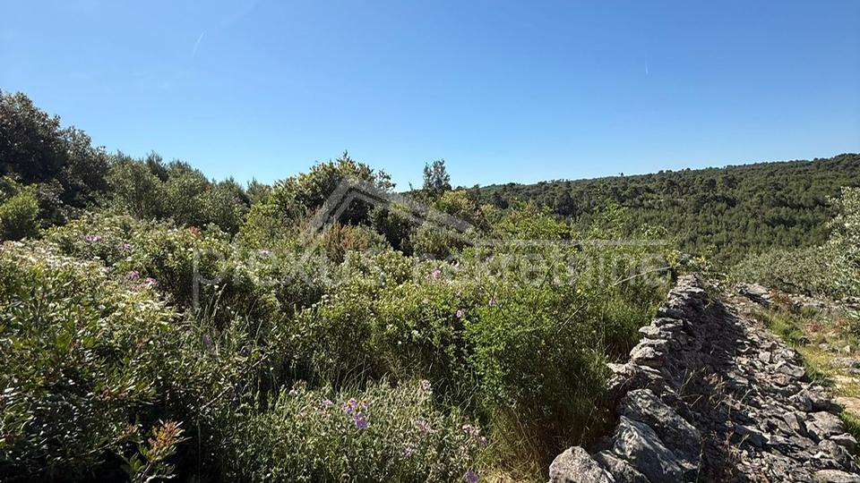 Land&comma; 3117 m2&comma; For Sale&comma; &Scaron;olta - Ne&ccaron;ujam