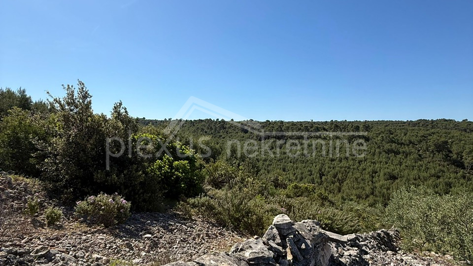 Land&comma; 3117 m2&comma; For Sale&comma; &Scaron;olta - Ne&ccaron;ujam