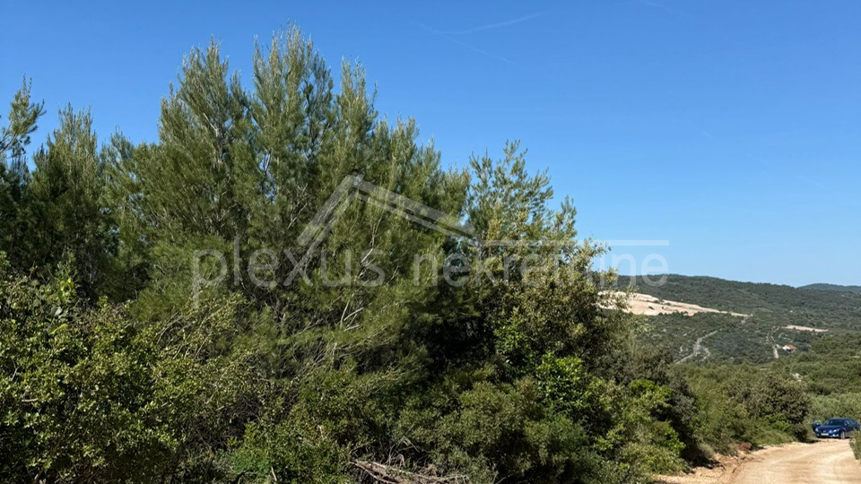 Land&comma; 3117 m2&comma; For Sale&comma; &Scaron;olta - Ne&ccaron;ujam