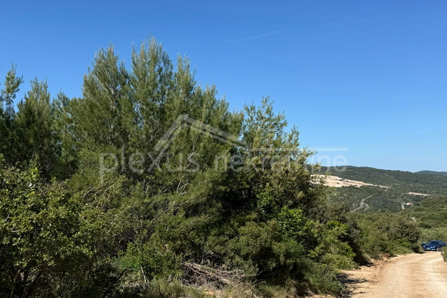 Land, 3117 m2, For Sale, Šolta - Nečujam