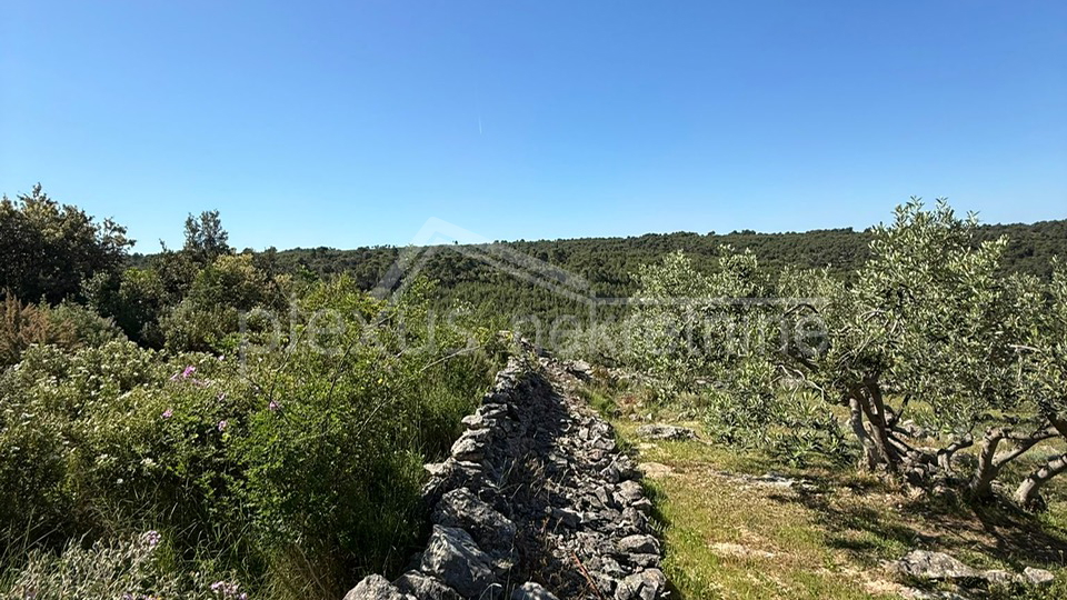 Land&comma; 3117 m2&comma; For Sale&comma; &Scaron;olta - Ne&ccaron;ujam