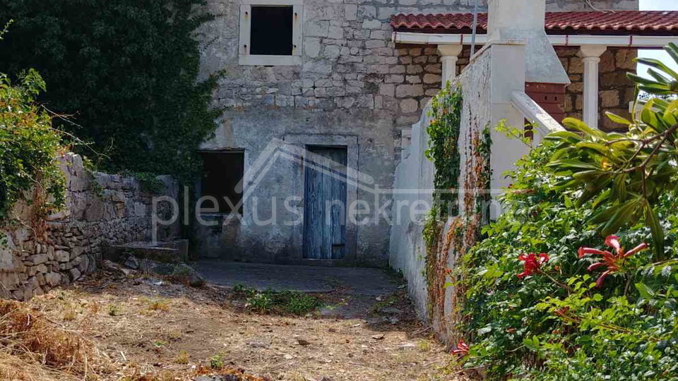Bra&ccaron;&comma; Sumartin