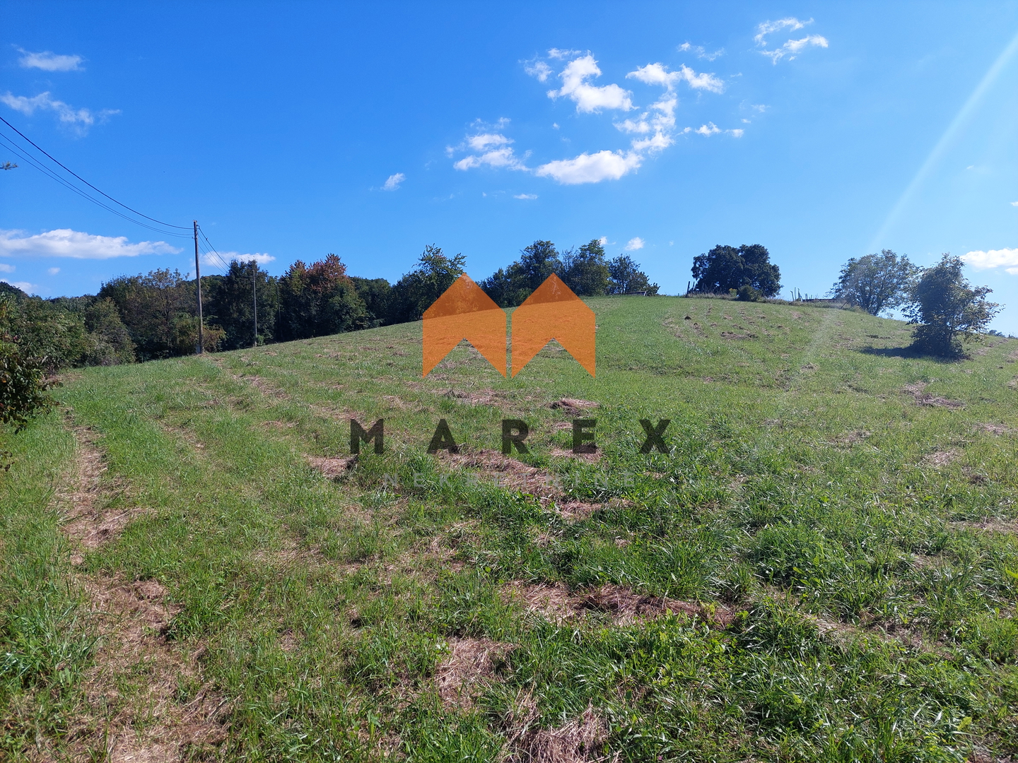 House with a large property