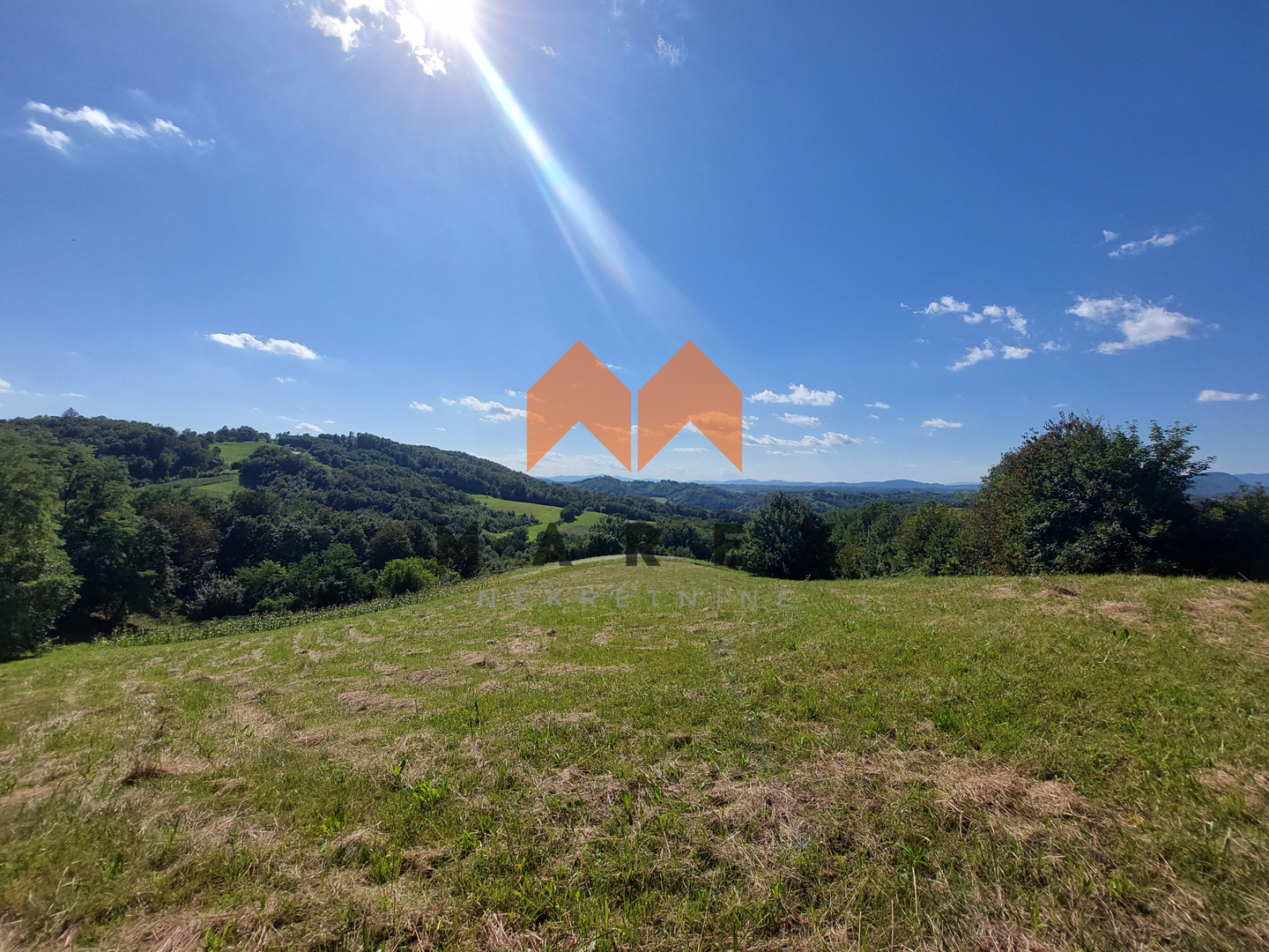 House with a large property