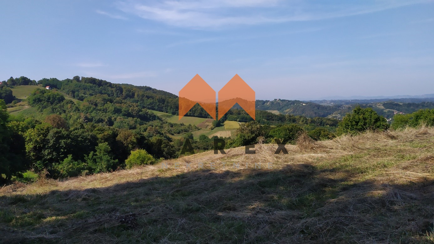 House with a large property