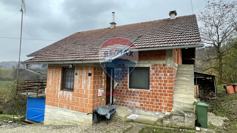 Family house in the quiet town of Pristava