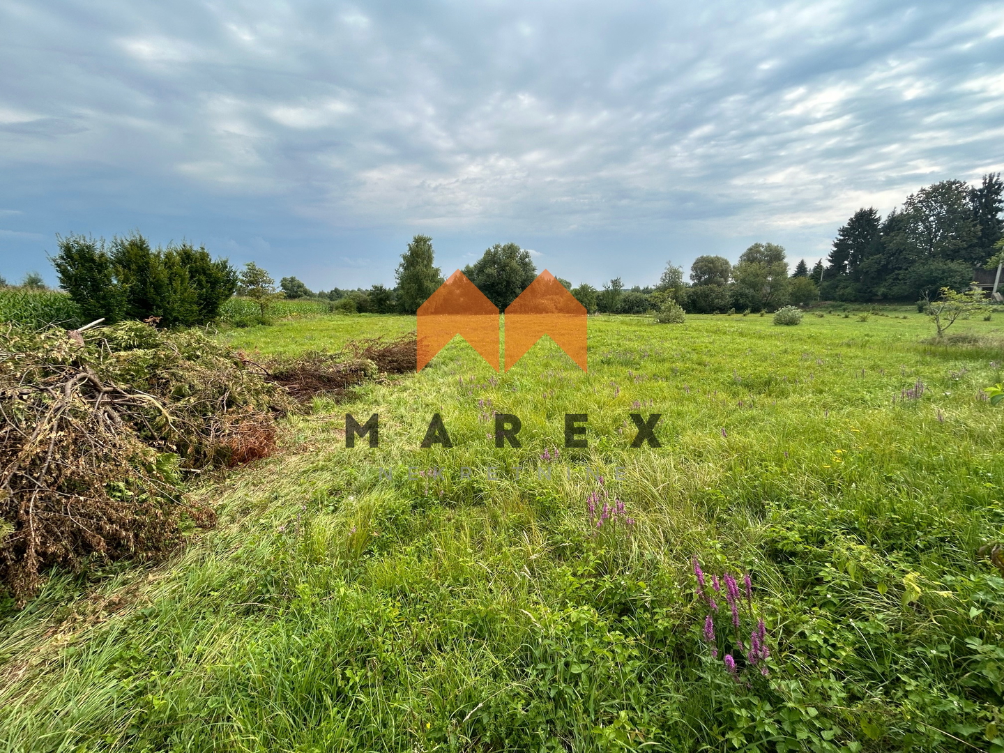 KUĆA 195M2+POSLOVNA ZGRADA 340M2+DRVENA KUĆA 45M2