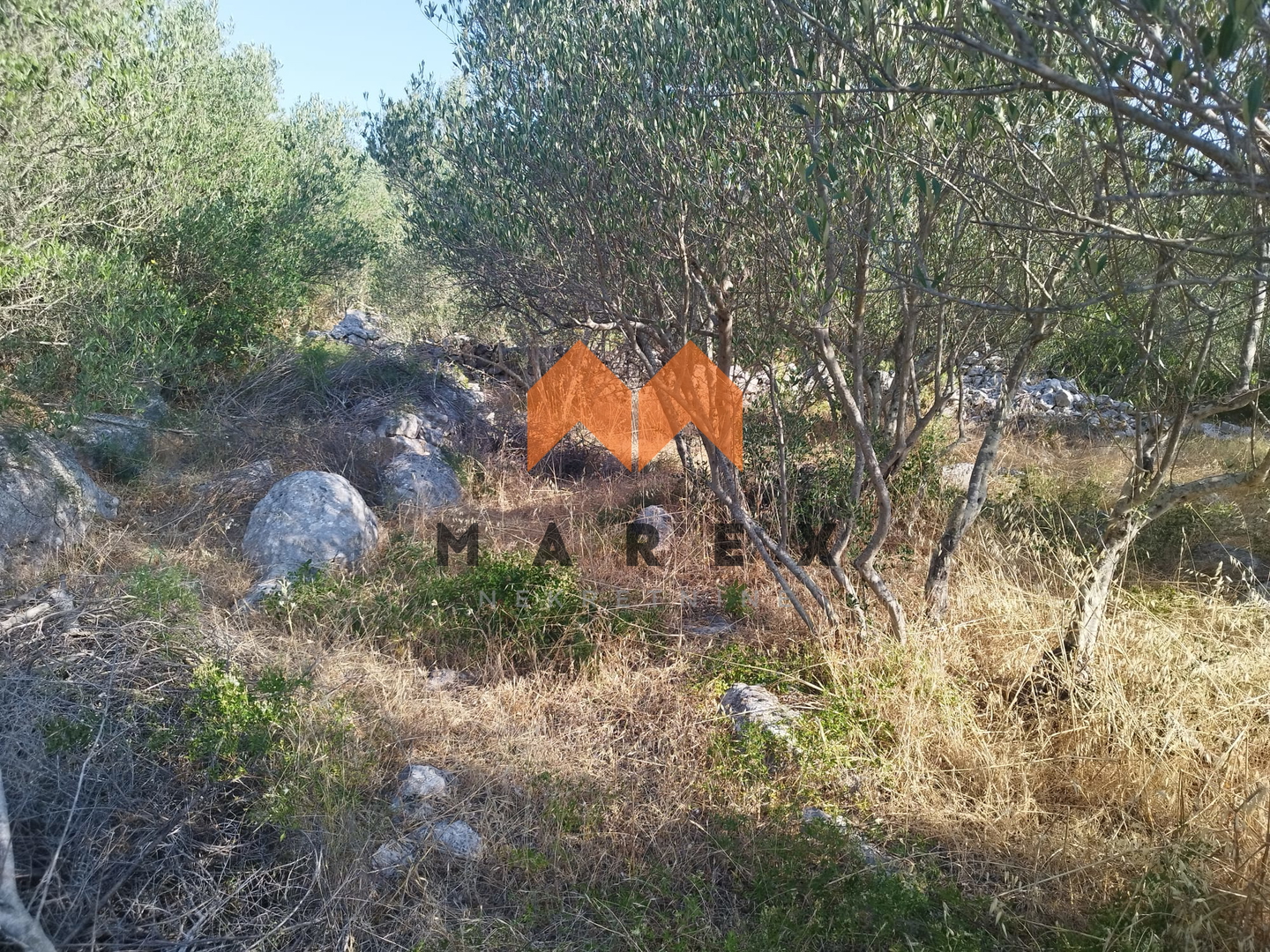 ATRAKTIVNO GRAĐEVINSKO ZEMLJIŠTE 513M2-SALI, DUGI OTOK