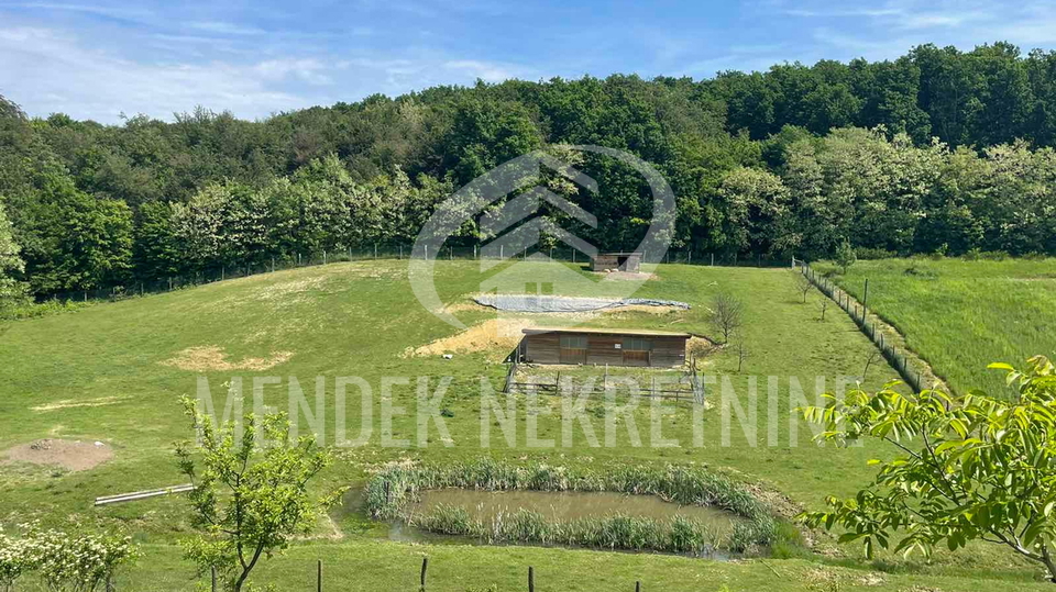 Haus, 100 m2, Verkauf, Radovan