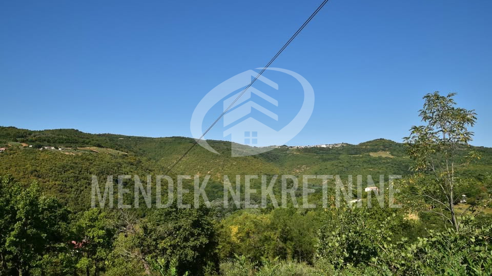 Land&comma; 1965 m2&comma; For Sale&comma; Motovun - Brka&ccaron;