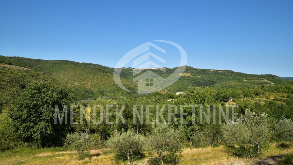 Land&comma; 1965 m2&comma; For Sale&comma; Motovun - Brka&ccaron;