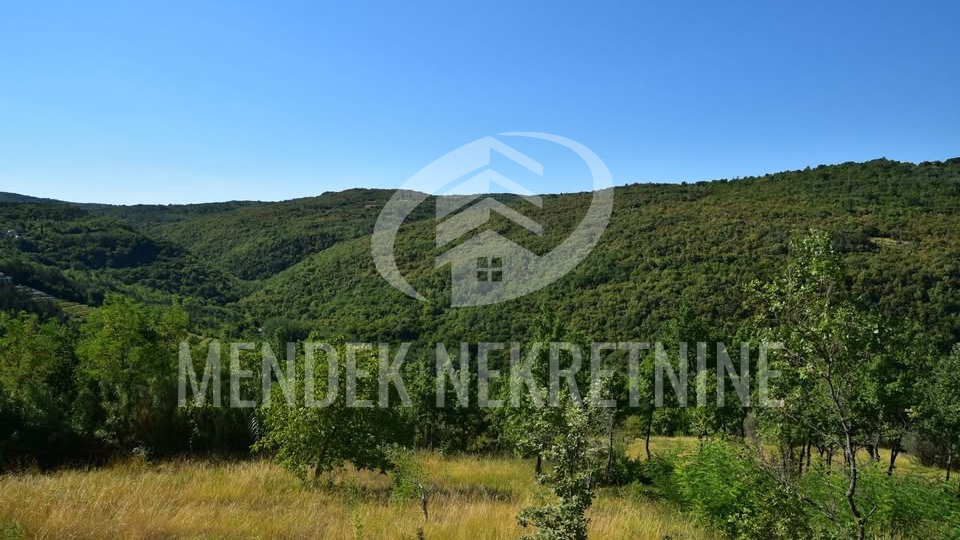 Land&comma; 1965 m2&comma; For Sale&comma; Motovun - Brka&ccaron;