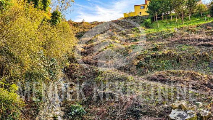 Casa&comma; 200 m2&comma; Vendita&comma; Motovun - Brka&ccaron;