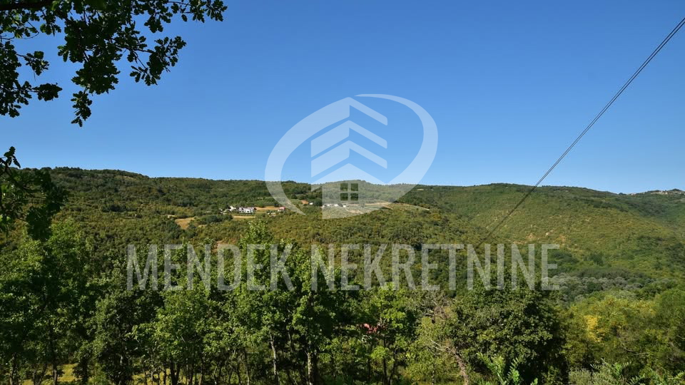 Land&comma; 1965 m2&comma; For Sale&comma; Motovun - Brka&ccaron;