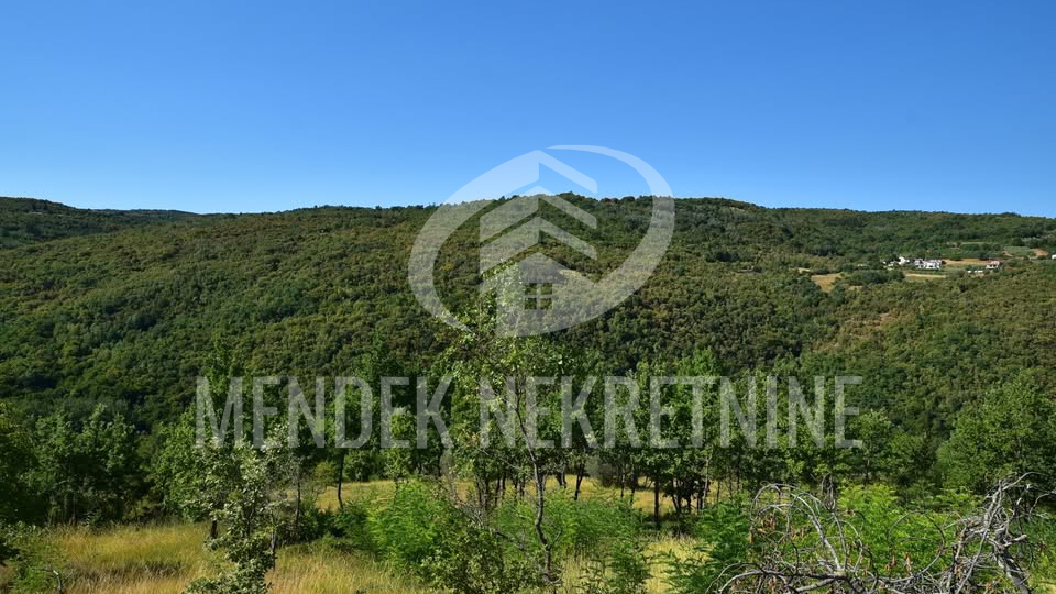 Land&comma; 1965 m2&comma; For Sale&comma; Motovun - Brka&ccaron;
