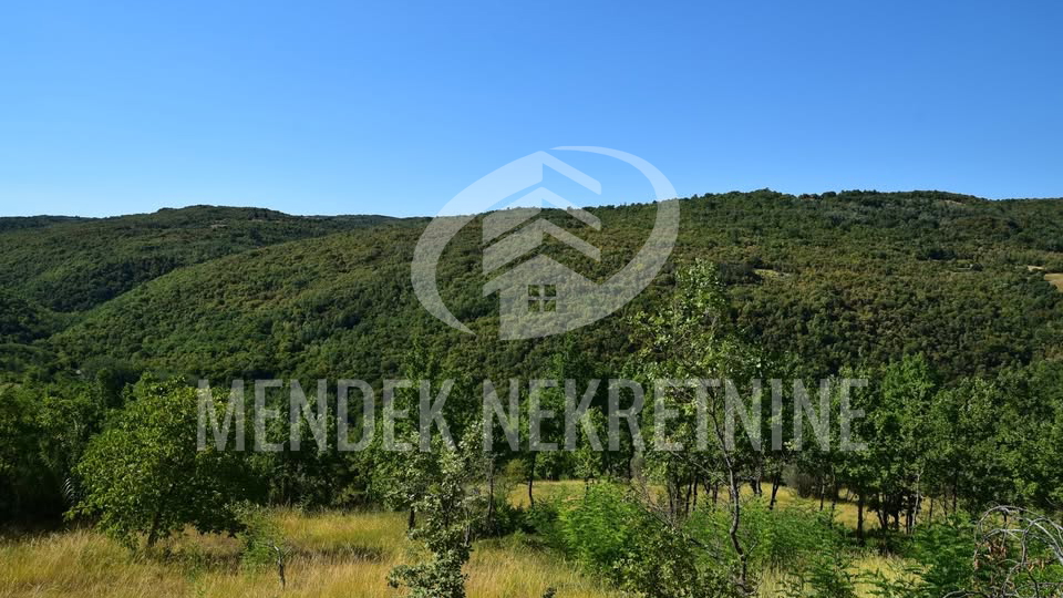 Land&comma; 1965 m2&comma; For Sale&comma; Motovun - Brka&ccaron;