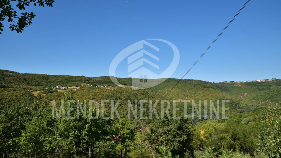 Land&comma; 1965 m2&comma; For Sale&comma; Motovun - Brka&ccaron;