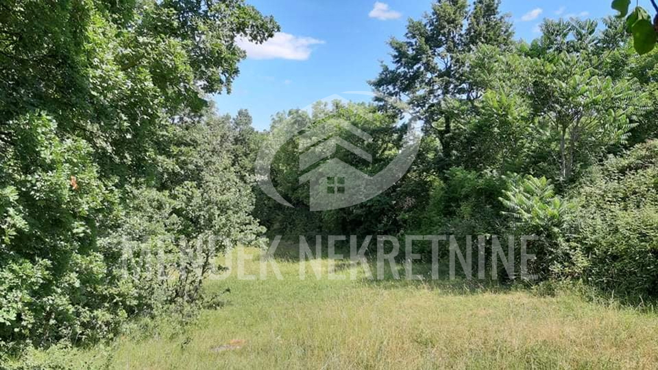 Land, 15000 m2, For Sale, Žminj