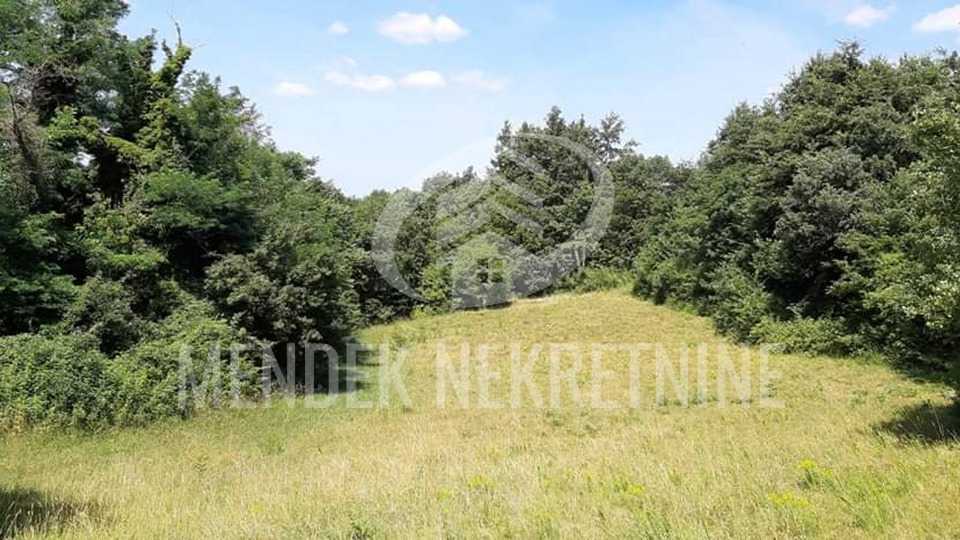 Land, 15000 m2, For Sale, Žminj