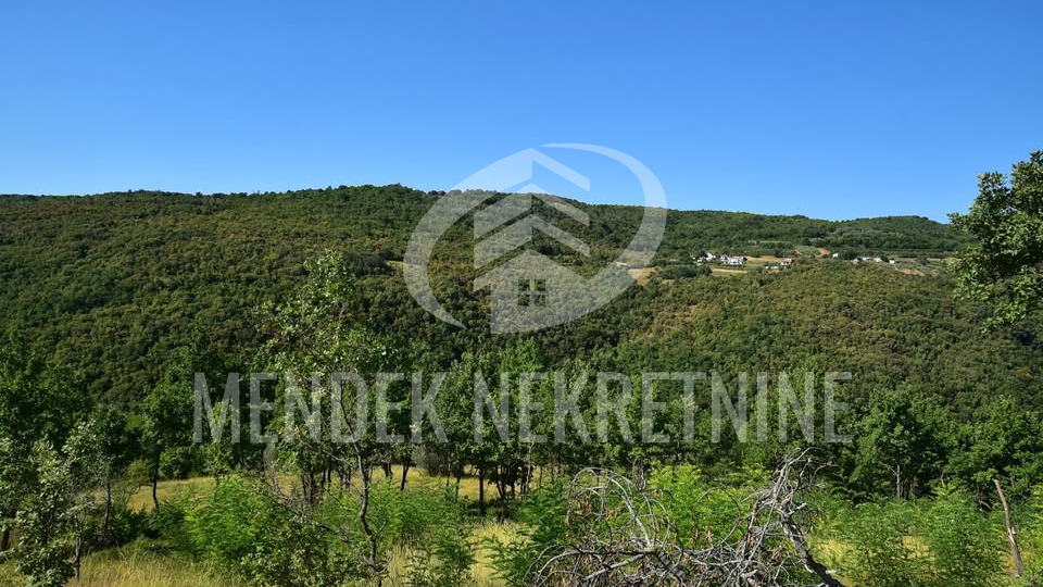 Land&comma; 1965 m2&comma; For Sale&comma; Motovun - Brka&ccaron;