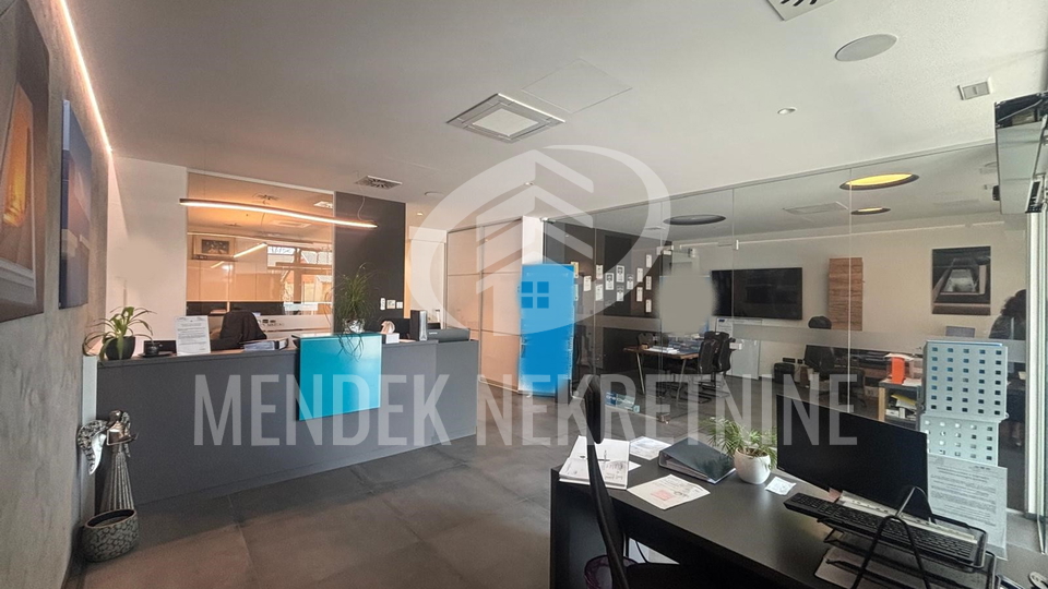 Commercial Property, 110 m2, For Sale, Varaždin - Vilka Novaka